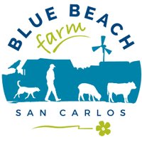 Hew Grierson (@bluebeachfarm) 's Twitter Profile Photo Hew Grierson (@bluebeachfarm) 's Twitter Profile Photo