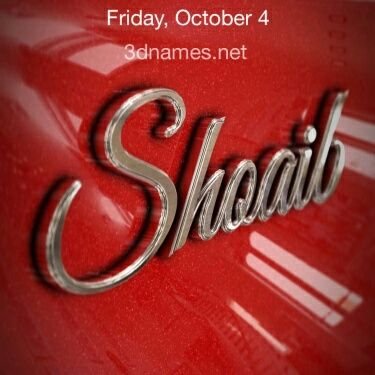 Shybeee6's profile picture. 