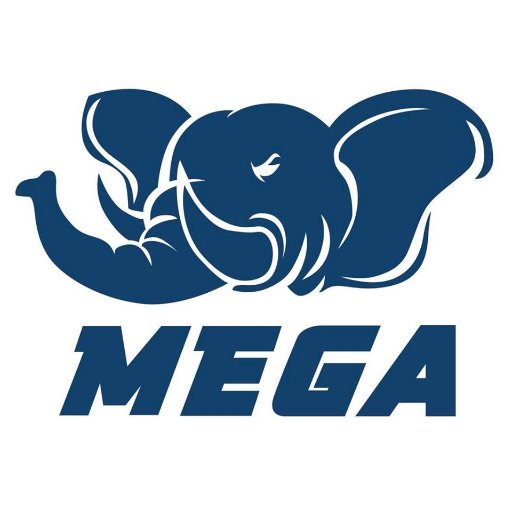 Competitive esports team based in SEA. Currently representing Thailand in the Overwatch Pacific Championship! Contact us at info@megaesports.gg