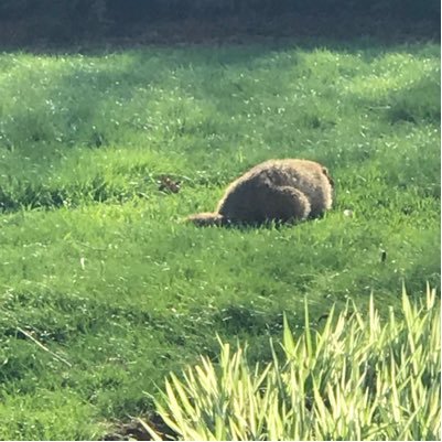 AddisionPlus's profile picture. 