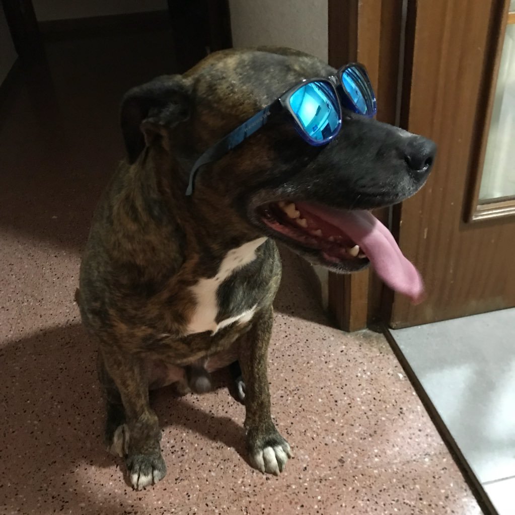 bumbGZz's profile picture. En muy buena forma, amante de las motos y de los videojuegos. MT-07. Ex jugador Profesional de CSS y CSGO.