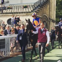 Juvenile Horseplay (@wellbredfilly) 's Twitter Profile
