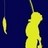dmfishing's profile image