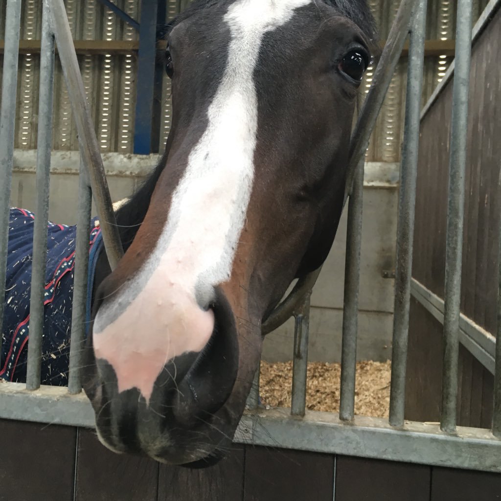 jpjpjp43's profile picture. Share of Double Reflection with Ontoawinner