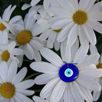 Serap (@serap_m) 's Twitter Profile Photo Serap (@serap_m) 's Twitter Profile Photo