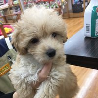 jackjack92 (@hamburger1792) 's Twitter Profile