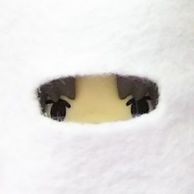 konpepetototo's profile picture. のんびりと。審神者なるもの20↑　ねんちゅんこえだの写真ほいほい。小さいもの好き。鍵をあけたりしめたり。うろちょろしています。