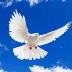 zinianthony's profile picture. RETIRED #MAGA