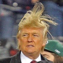 reallTrumpTroll's profile picture. The troll that needs no introduction. Hopefully there’s not a pro-Trump Twitter contractor on their last day of work that’ll delete us...! @realDonaldTrump