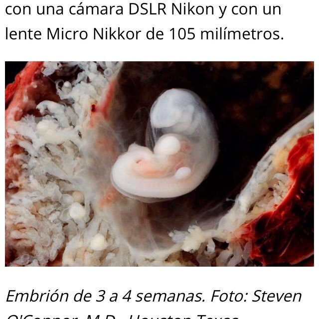 ReprogramMC55's profile picture. 