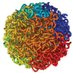 The 3D Genome (@the3dgenome) Twitter profile photo The 3D Genome (@the3dgenome) Twitter profile photo