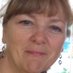 Susan Hogan CMIOSH 💙 (@suehogansafety) Twitter profile photo
