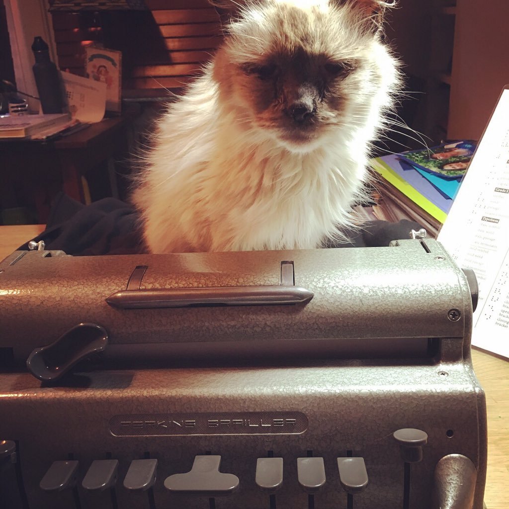 tvi_julie's profile picture. Teacher of Blind and Low Vision students (TVI). SF Bay Area native.