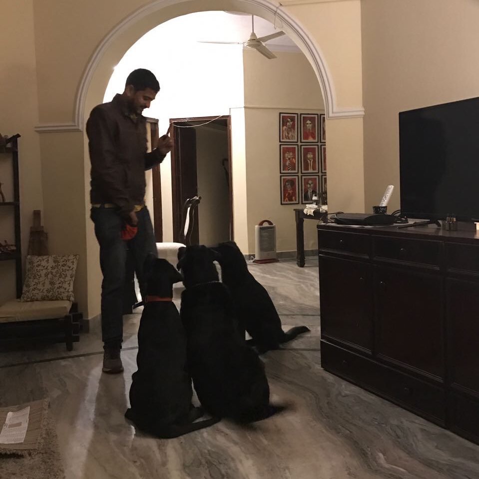 VijRama's profile picture. Dog behaviourist | Trekking enthusiast | Wannabe carpenter and motorcycle mechanic | Strategy consultant