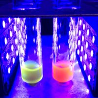 Leonori Lab (@leonorilab) 's Twitter Profile Photo Leonori Lab (@leonorilab) 's Twitter Profile Photo