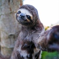 vicente lucendo (@vlucendo) Twitter profile photo