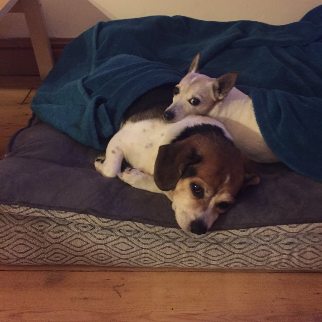 rita_swift's profile picture. 