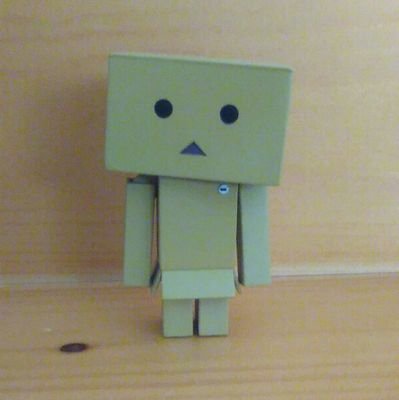 木々さんのプロフィール画像