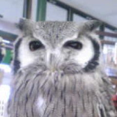 iwataka1635's profile picture. 選択の幅や行動範囲に制約をかけてくる お金の障壁を低くしながら その主従関係を逆転したいと思い、いろいろ学びながら実践しています。 よろしくお願いします😊