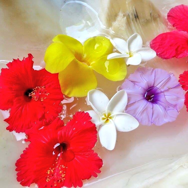 ayachaglm1208's profile picture. 