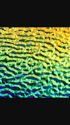 Lucy30118570's profile picture. 