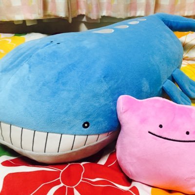 mymy_1206's profile picture. ff14@asura鯖/ポケモン/嵐/超特急/鎖音プロジェクト