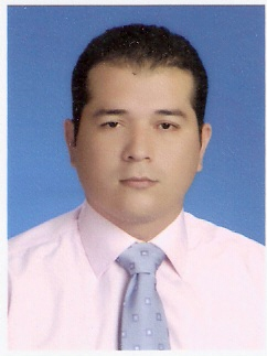 Ingeniero de sistemas, coordinador y consultor de proyectos en TIC, social media.