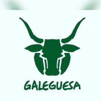 Galeguesa (@galeguesa) 's Twitter Profile Photo Galeguesa (@galeguesa) 's Twitter Profile Photo