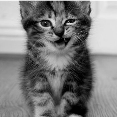 skaikrugirl's profile picture. 