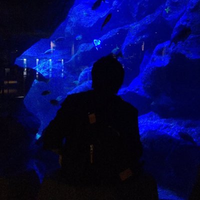 Tweets with replies by A.shota (@honeyworkssuki1) | Twitter