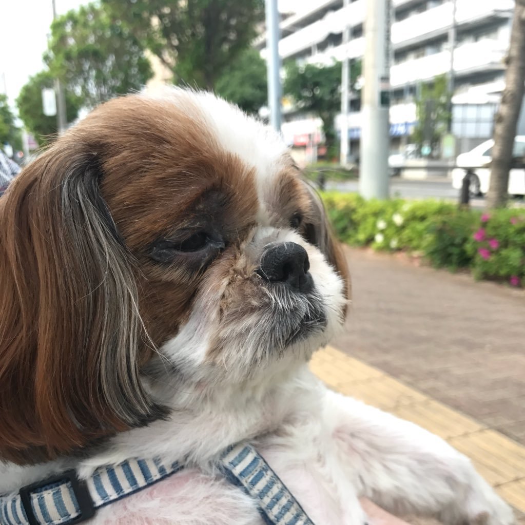 ms_tokiwa's profile picture. 2022.8.1 サマージャンボのためにTwitterを再開しました→2022.8.21当たるまで続けます→ 高額当選者アカを目指す！ B級グルメと節約と旅とアートを好む→2024.5 百均シール収集開始→2025〜 風景印とスタバのスタンプ集めたい