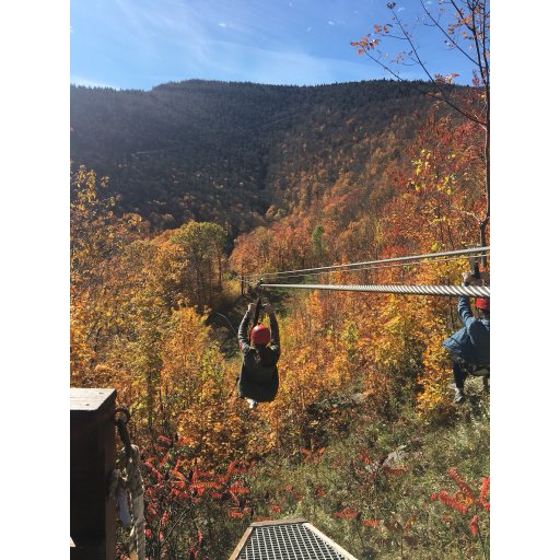 aschleezy's profile picture. 