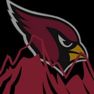 #AZCardinals fans in Denver, CO.  @AZCardinals watch site at @IngasAlpineTvrn for all Cardinals games.  #BeRedSeeRed #BirdGang