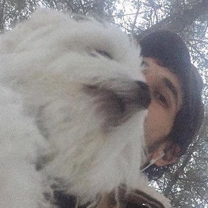 hawaiibarkii's profile picture. BORK