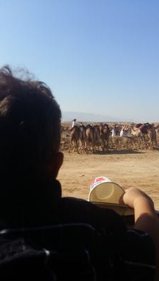 Saud1306919142's profile picture. ‏‏‏‏العفو عند المقدرة