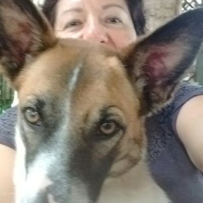 Profesora de teatro, literatura y español. Maestría en teatro. Dedicada al turismo y a la defensa del ambiente. Emelecista, amante de la justicia.