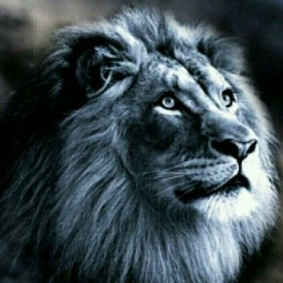 fathuridisyamsu's profile picture. Kenali dirimu lebih dalam untuk mengetahui dimana letak kelebihan dan kekuranganmu ...