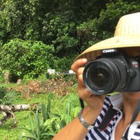 Noris Arrocha (@norisarrochas) 's Twitter Profile Photo