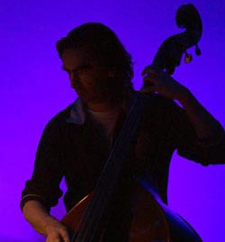 Professional bassplayer and sound-engineer