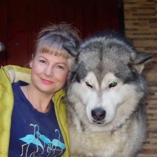 ematema2015's profile picture. Кинолог. Снимаю видео для YouTube Канал о собаках Вязки собак Люблю собак Love dogs I have a page on YouTube The life of dogs Mating dogs My job  this dog