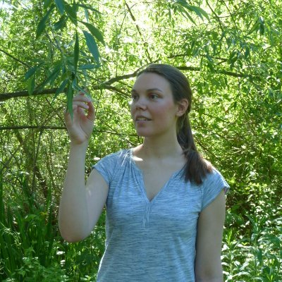 MarionLouveaux's profile picture. Presale manager at @Opendatasoft
Views are my own.
#rstats developer #opendata #dataviz