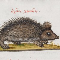 Kevin McPaggis (@wlfpasty) 's Twitter Profile