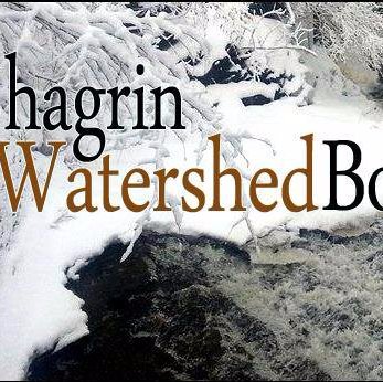 ChagrinBooks's profile picture. Rare and antiquarian bookseller, fine art and music dealer, autodidact.