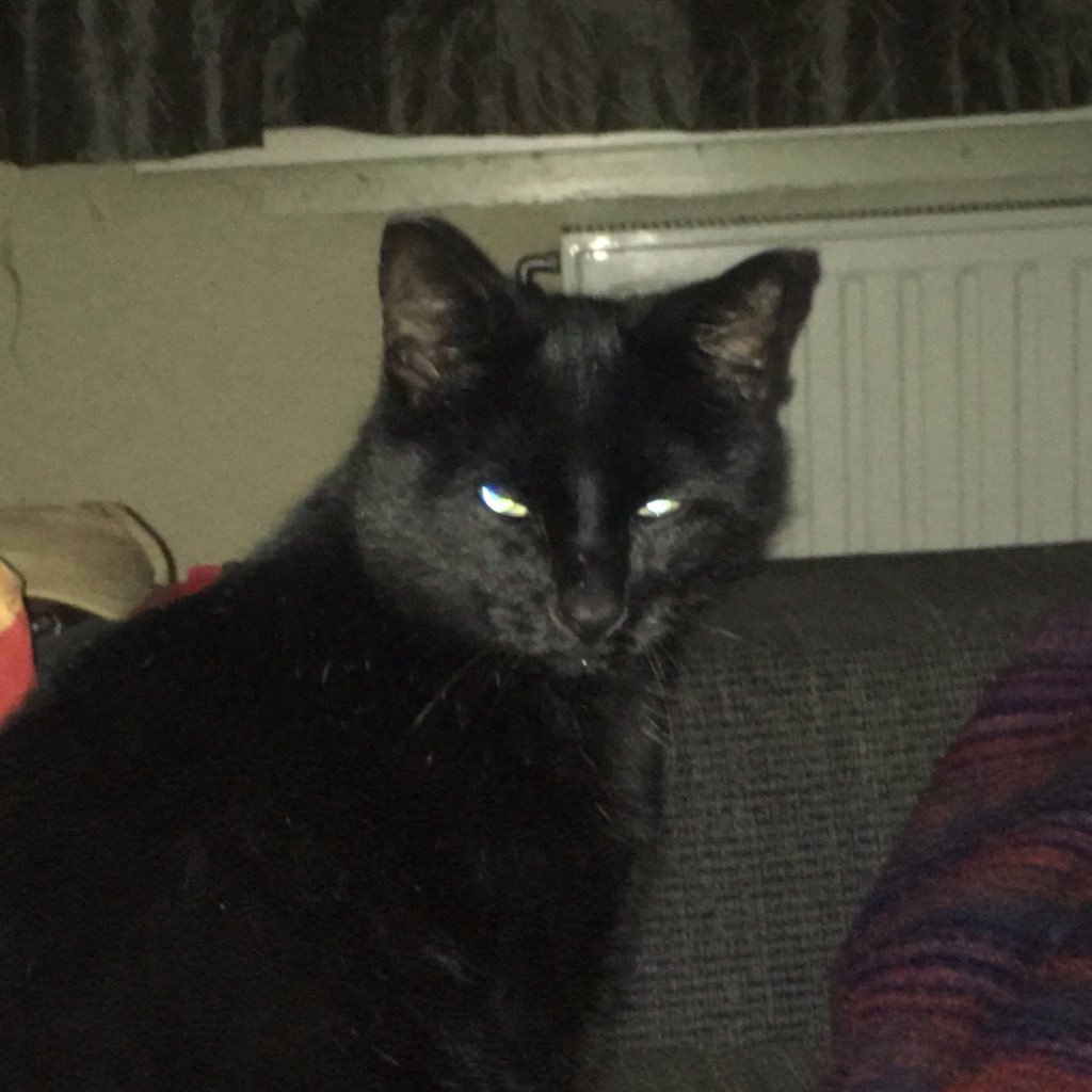 DJElectroflux's profile picture. Ambient | Downtempo | Dub-Techno | Electronics | IDM | DJ |