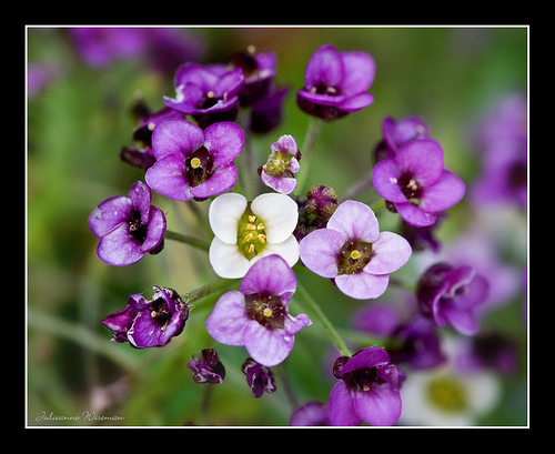 KeriGO's profile picture. 