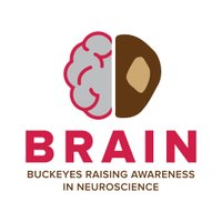 Buckeyes Raising Awareness in Neuroscience (@ohiostatebrain) 's Twitter Profile