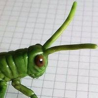 Felicia Styer (@graph_hopper) 's Twitter Profile