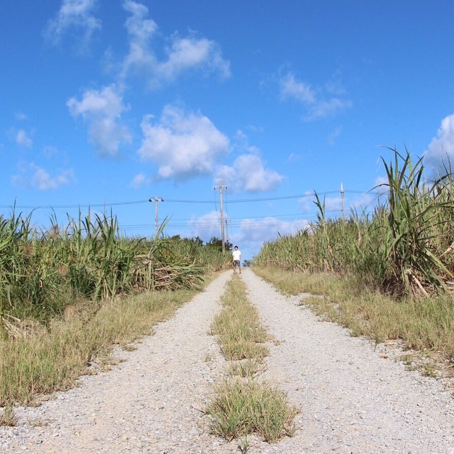 gyudon0508's profile picture. 🍢🍻🎼👍