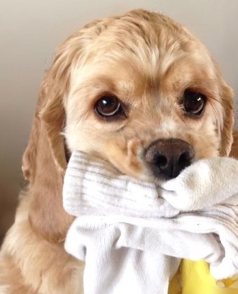 heil_judy's profile picture. 