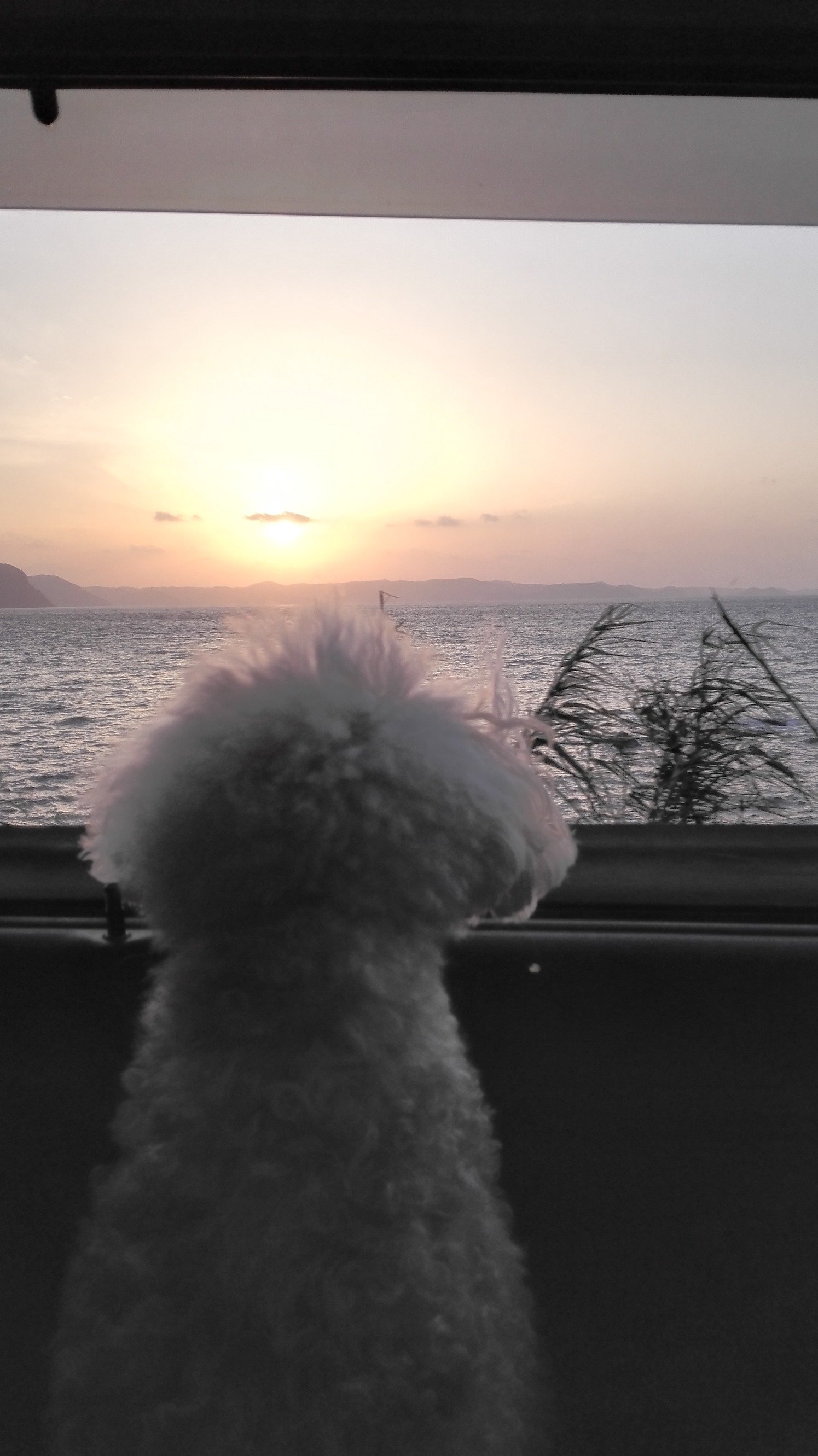 wishoui's profile picture. 超がつく程テレビっ子♪ 特にお笑いが大好きです。あとは犬、猫、ビール、マンガ…
マイブームは島津亜矢♫